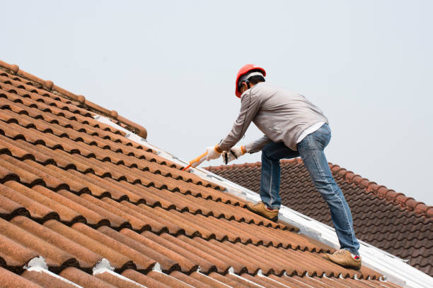 Best Green or Eco-Friendly Roofing Solutions  in Shaw Heights, CO